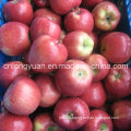 Good Quality Fresh Red Delicious Apple, Huaniu Apple